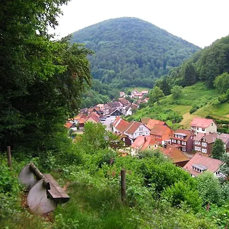 Detached House In The Harz Region With A Garden * Zorge