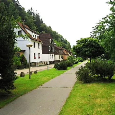 Detached House In The Harz Region With A Garden Holiday home Zorge