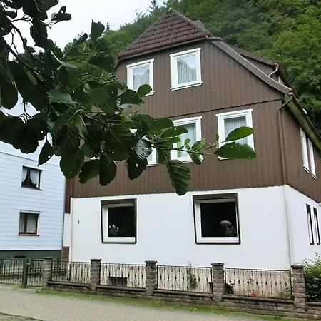 Nyaraló Detached House In The Harz Region With A Garden Zorge