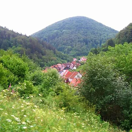 Holiday home Detached House In The Harz Region With A Garden Zorge
