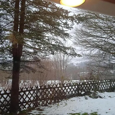Holiday home Detached House In The Harz Region With A Garden *
